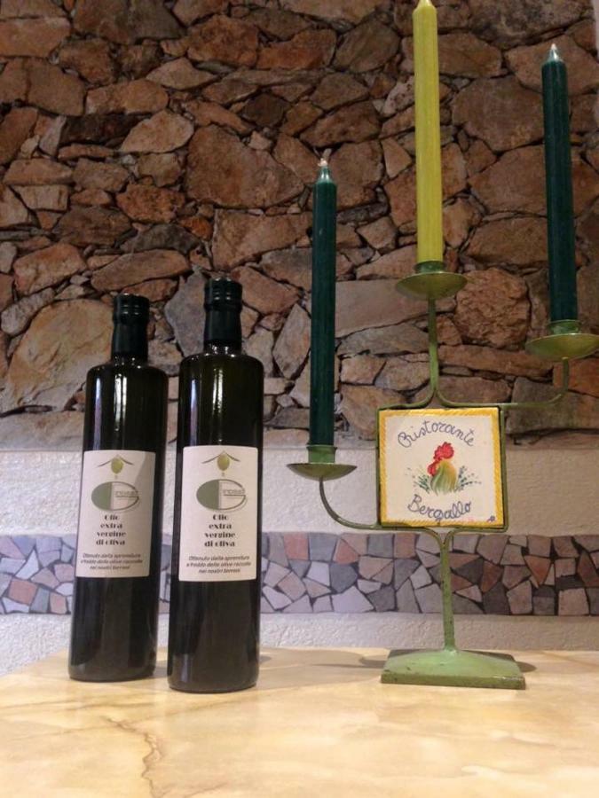 Albergo Ristorante Bergallo Tovo San Giacomo Buitenkant foto